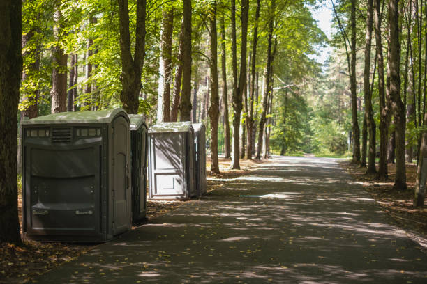 Best Porta potty rental near me  in Basye, VA